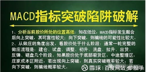 新澳2025精准正版免费,精选解析与警惕虚假宣传-全面释义、解释与落实
